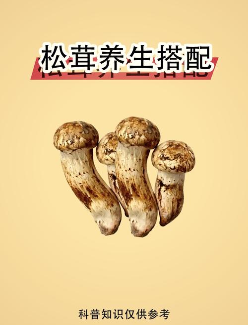 松蘑的做法，松蘑的做法大全家常菜？-第1张图片-元宝百科